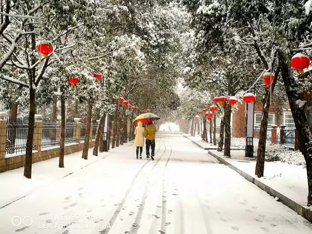 今日小雪！最低2℃！接下来，驻马店天气大反转！这些一定要注意...