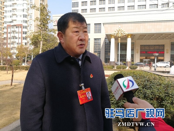 驻马店代表团热议陈润儿省长的政府工作报告 