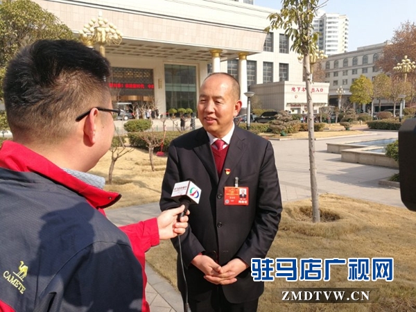 驻马店代表团热议陈润儿省长的政府工作报告 