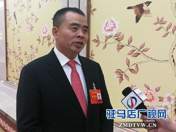 驻马店代表团代表为中原更加出彩 献言献策