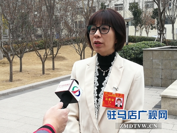 驻马店代表团代表为中原更加出彩 献言献策