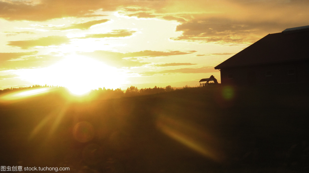16°C！驻马店将开启升温模式！春节期间还有雨夹雪？
