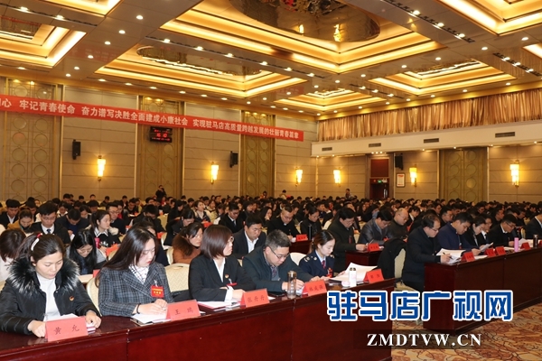 共青团驻马店市第三次代表大会预备会议召开