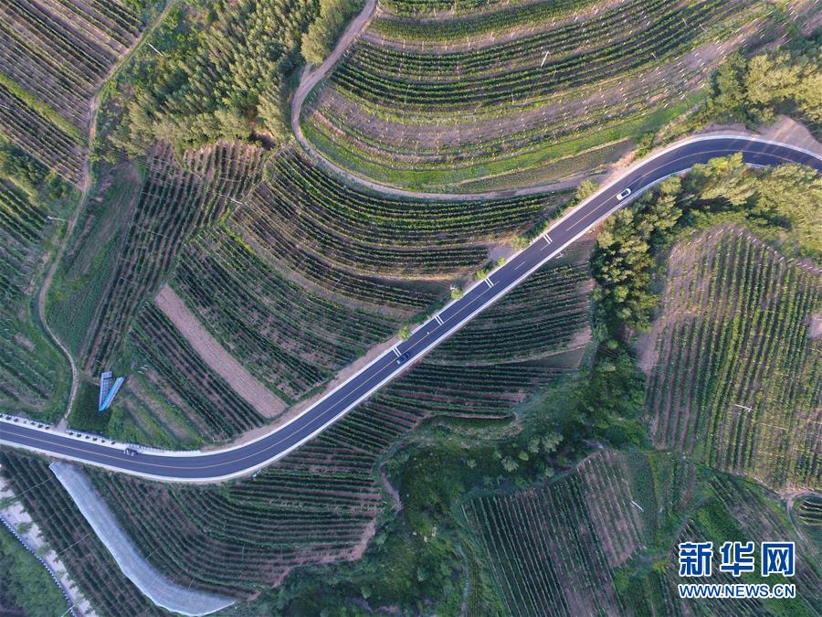 心系北疆 情满草原——习近平总书记考察内蒙古回访记