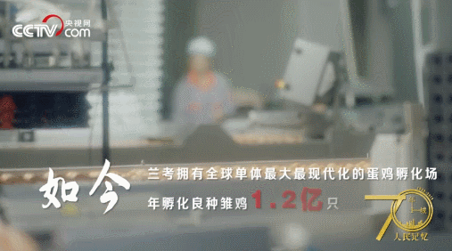 记住兰考！央视网全景再现兰考，听听亲历者的心声