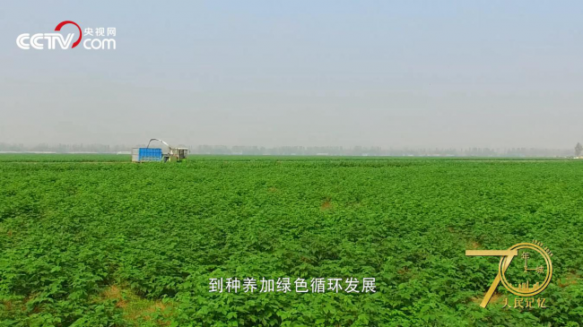 人民记忆·70年70城|记住开封兰考,焦裕禄精神的发源地