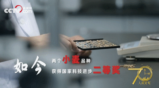 记住兰考！央视网全景再现兰考，听听亲历者的心声