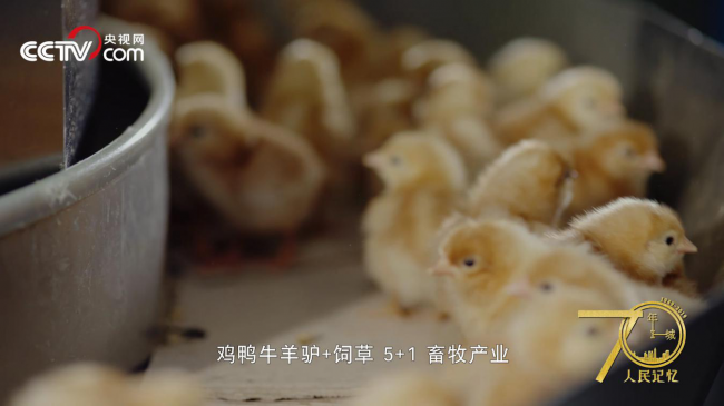 人民记忆·70年70城|记住开封兰考,焦裕禄精神的发源地