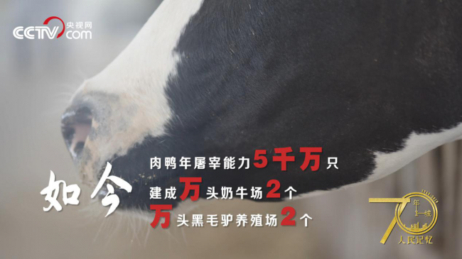 人民记忆&middot;70年70城《记住开封兰考》