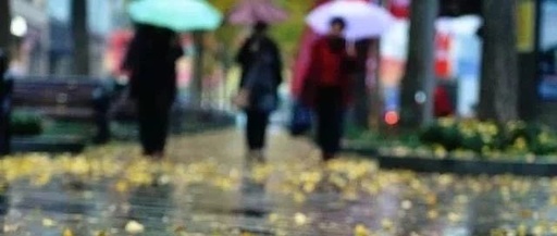 7级阵风+最低8℃！驻马店一秒入冬！还有这几个好消息…