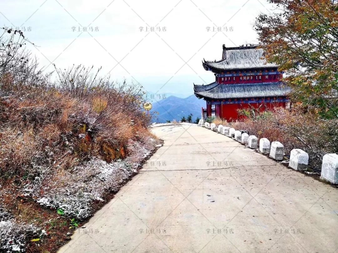 视频+美图！驻马店这些地方都下雪啦！即将开启“速冻模式”...