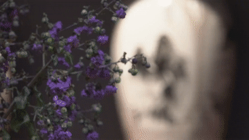 外国小姐姐看黄河丨第三集：泥与火的艺术