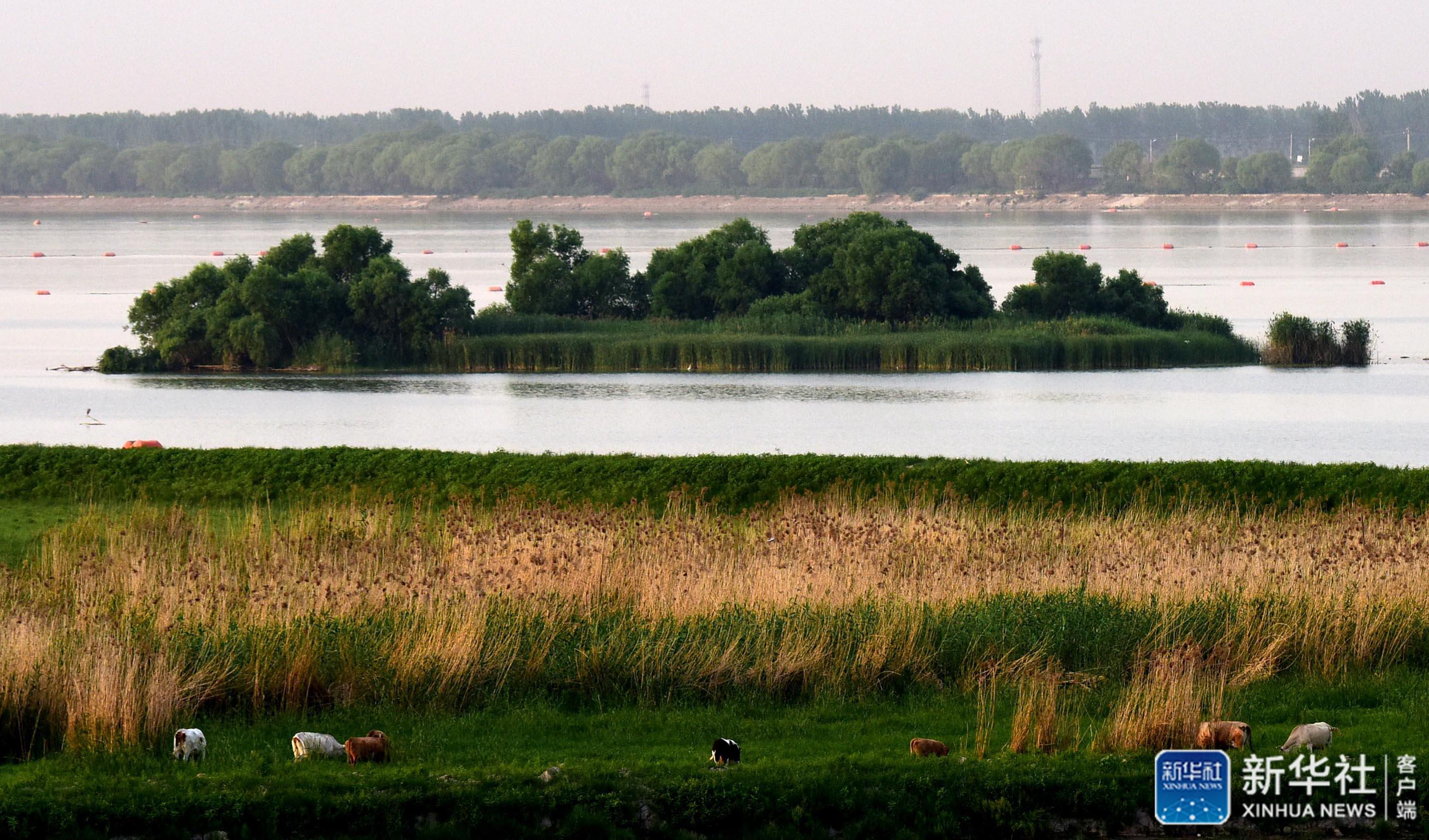 从“以水为患”到“因水而兴”——一个中部城市的洪水资源化之路