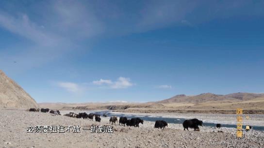 电视专题片《正风反腐就在身边》第一集：《政治监督》