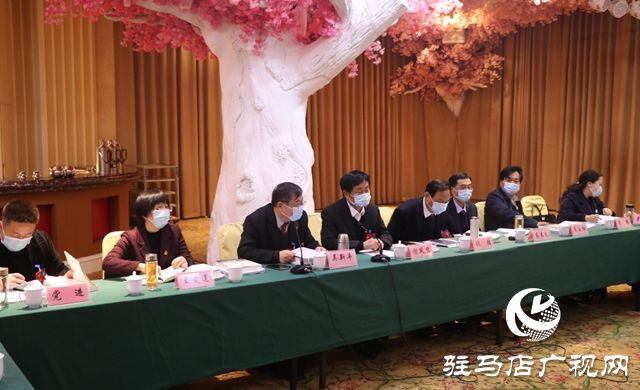 驻马店市政协委员分组讨论政协常委会工作报告和提案工作报告