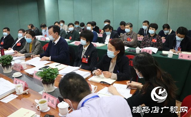 驻马店市政协委员分组讨论政协常委会工作报告和提案工作报告