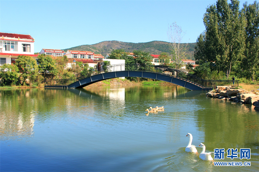 走进乡村看小康|生态乡村美如画