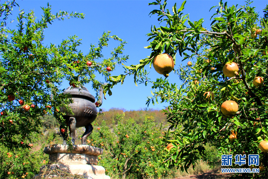 走进乡村看小康|生态乡村美如画