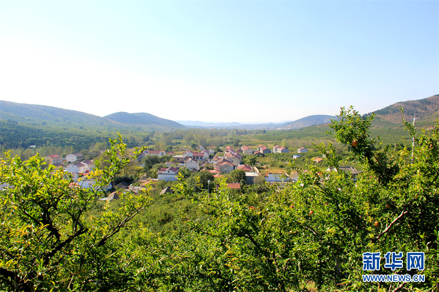 走进乡村看小康|生态乡村美如画