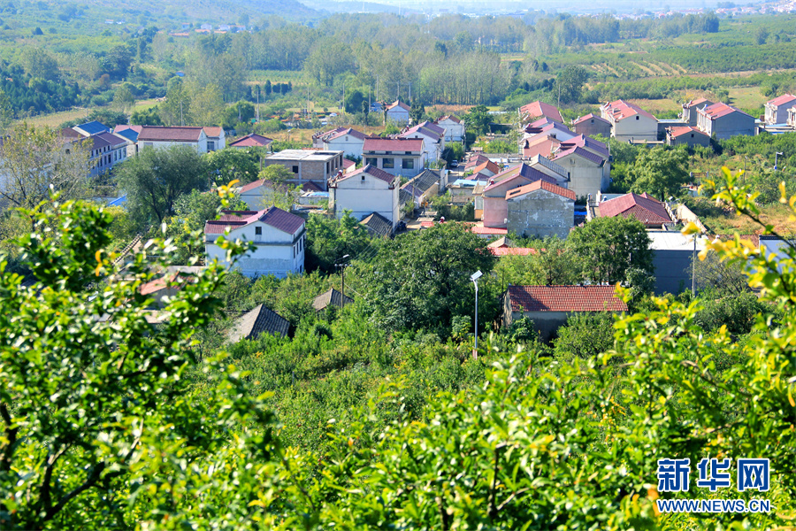 走进乡村看小康|生态乡村美如画