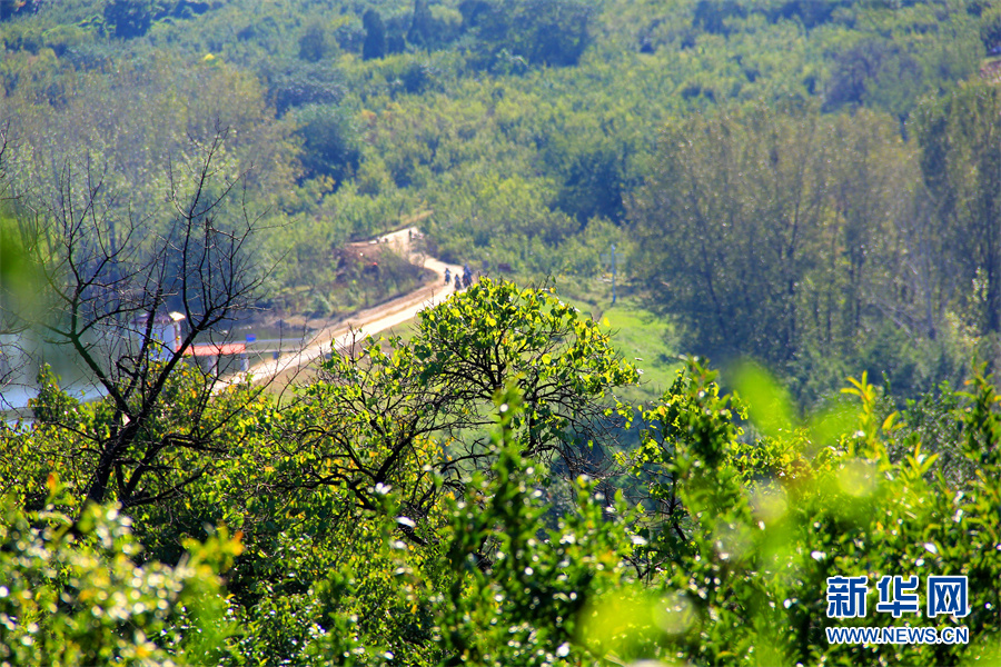 走进乡村看小康|生态乡村美如画