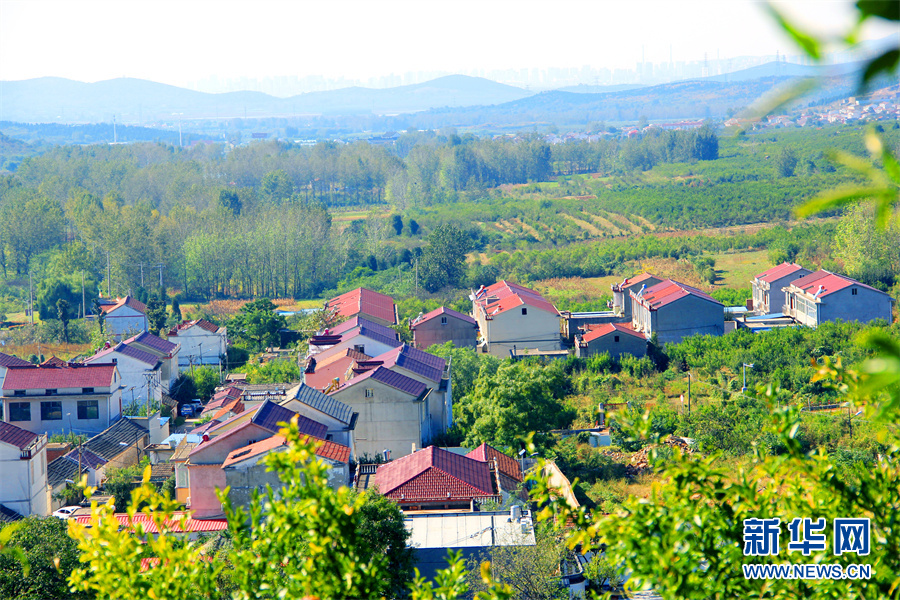 走进乡村看小康|生态乡村美如画