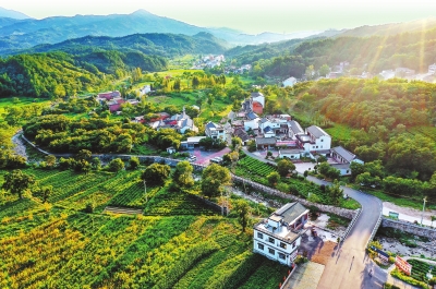 你好，小康丨商城县里罗城：全域创建 村美民富