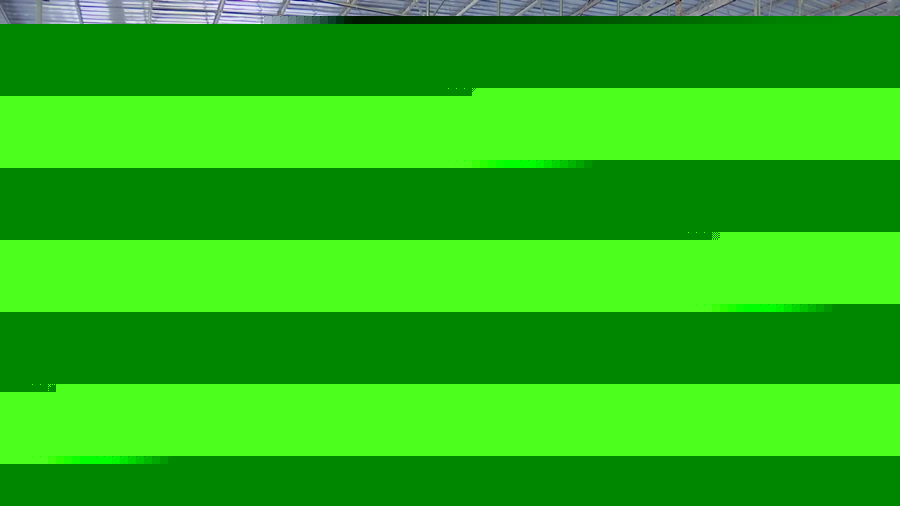 走进乡村看小康丨化茧成蝶 小蚕茧长成乡村振兴大产业