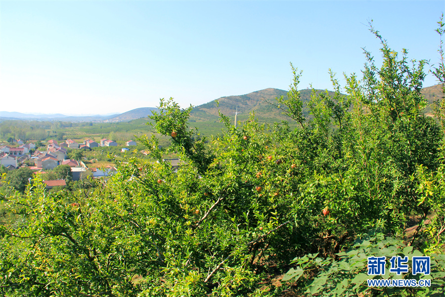 走进乡村看小康|生态乡村美如画