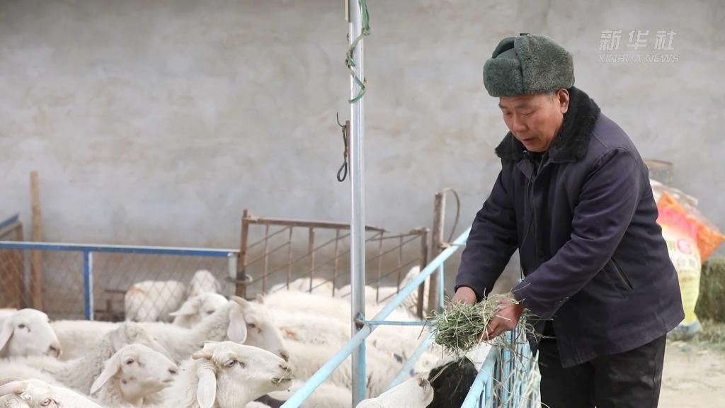 奋进新征程 建功新时代丨稳产业促就业 促进乡村振兴“加速跑”