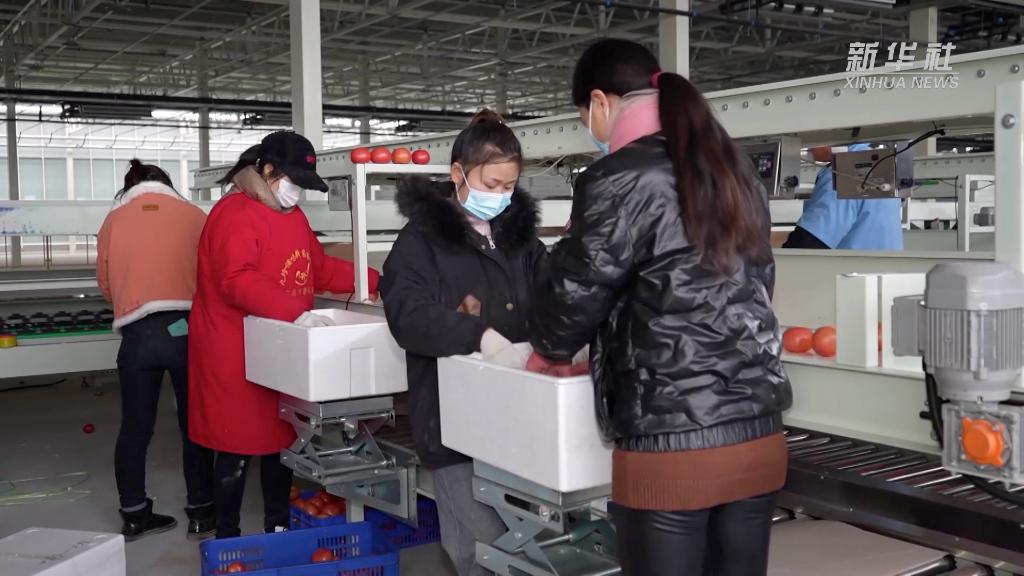 奋进新征程 建功新时代丨稳产业促就业 促进乡村振兴“加速跑”