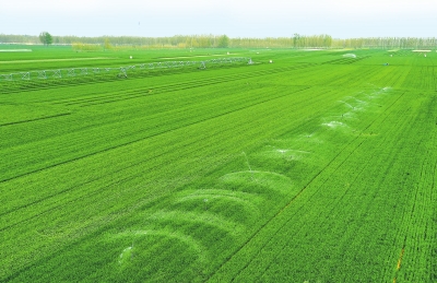 奋进新征程 建功新时代 丨沈家村的新愿景