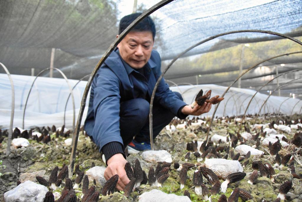 奋进新征程 建功新时代丨汉江源头活水来