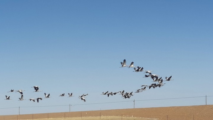 奋进新征程 建功新时代·伟大变革丨青海：“合力”守“水塔”，生态护长流