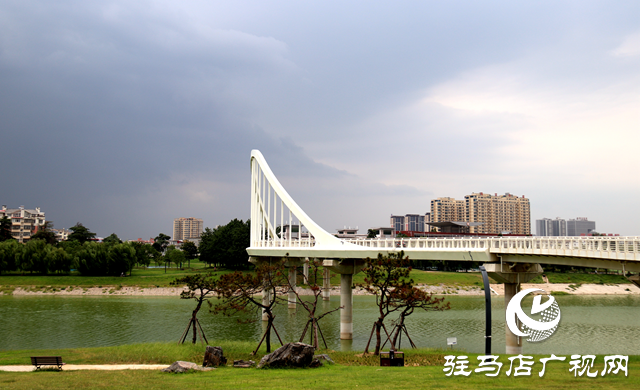 遂平县：立足新发展 构建新格局 经济社会发展成效斐然