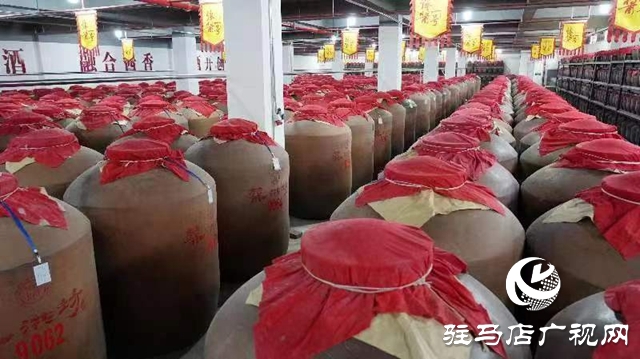 新蔡县：走过非凡十年 综合实力和发展质量迈上新台阶