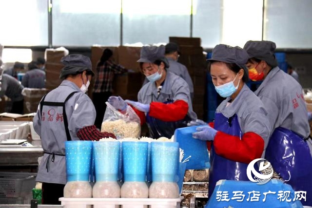 泌阳县：踔厉奋发 笃行不怠 奋力谱写现代化建设新篇章