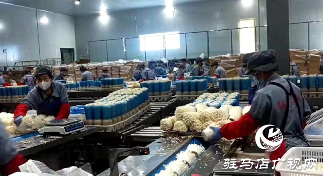 泌阳县：踔厉奋发 笃行不怠 奋力谱写现代化建设新篇章