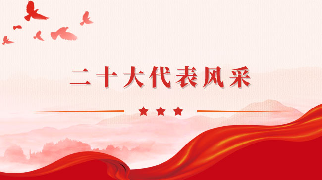 二十大代表风采