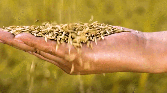 奋进新征程，建功新时代 ——专访驻马店市委书记鲍常勇