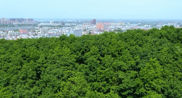 奋进新征程，建功新时代 ——专访驻马店市委书记鲍常勇