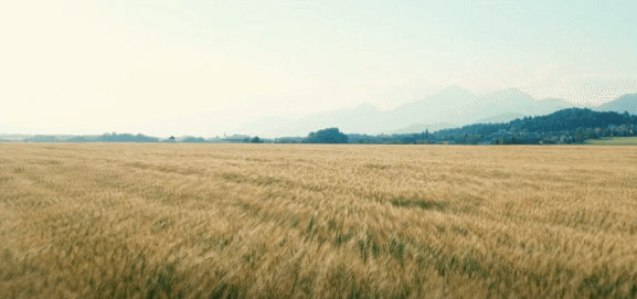 奋进新征程，建功新时代 ——专访驻马店市委书记鲍常勇