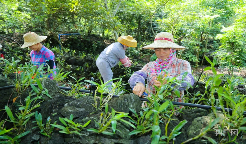 【大时代】海口：“软硬兼备”产兴民富环境美 “内外兼修”奋楫逐梦自贸港
