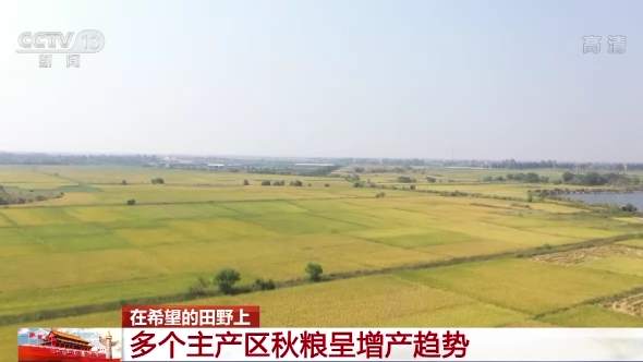 全国秋粮收获4.48亿亩 河南油料作物喜获丰收