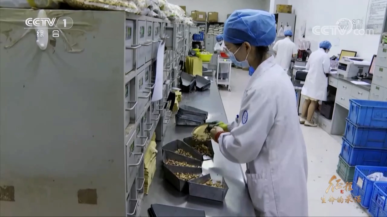 大型纪录片《征程》｜第十一集 生命的承诺