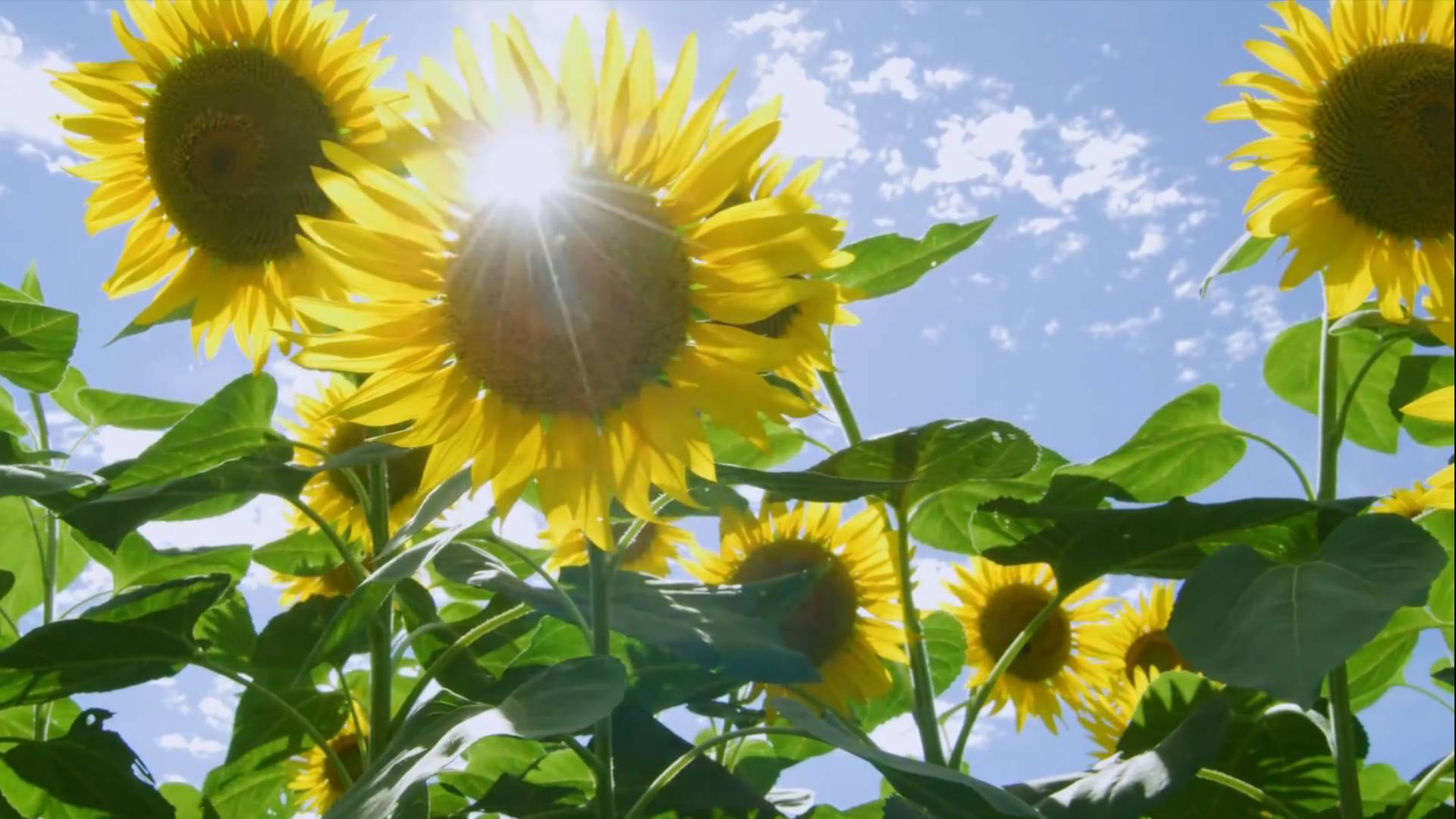 奔向美好生活｜茁壮地成长