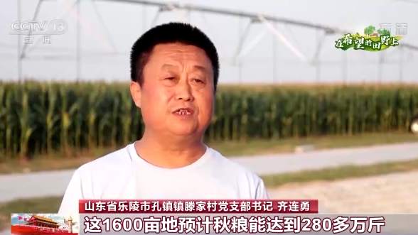 全国秋粮收获4.48亿亩 河南油料作物喜获丰收