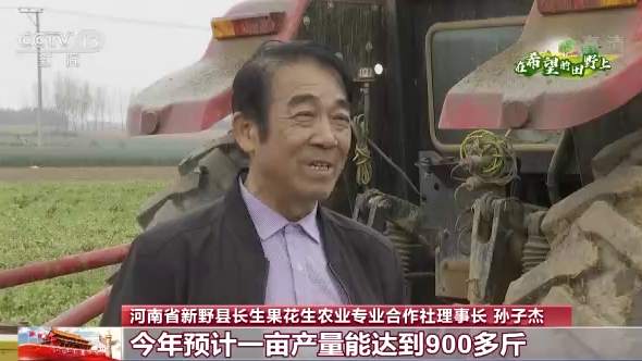 全国秋粮收获4.48亿亩 河南油料作物喜获丰收