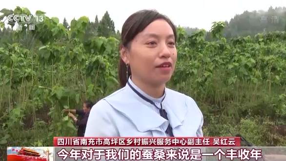 全国秋粮收获4.48亿亩 河南油料作物喜获丰收