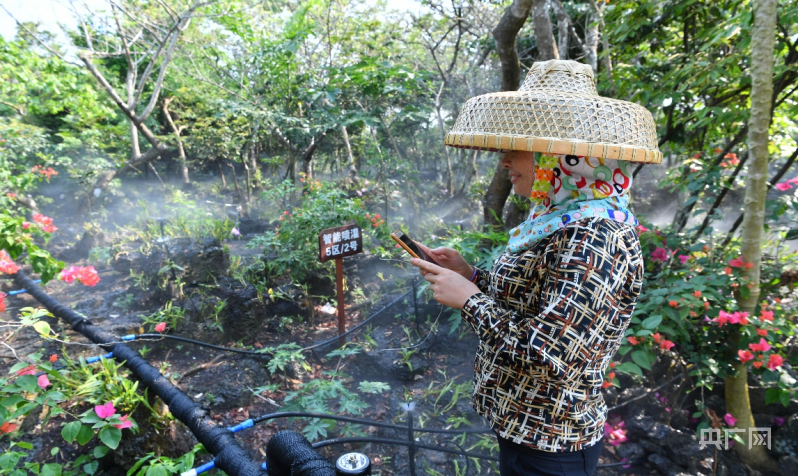 【大时代】海口：“软硬兼备”产兴民富环境美 “内外兼修”奋楫逐梦自贸港